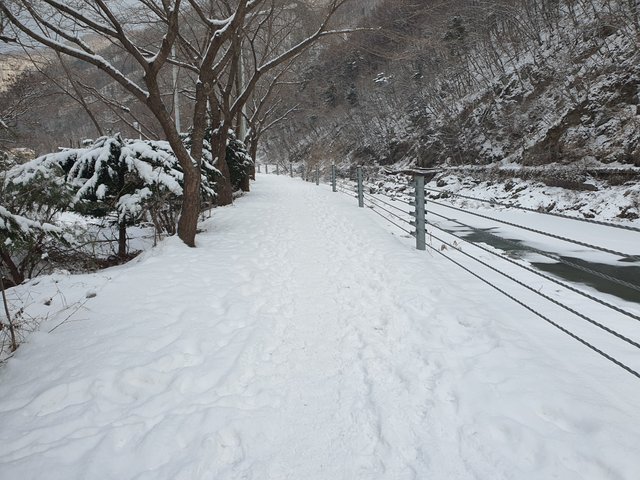 20250128_162603.jpg