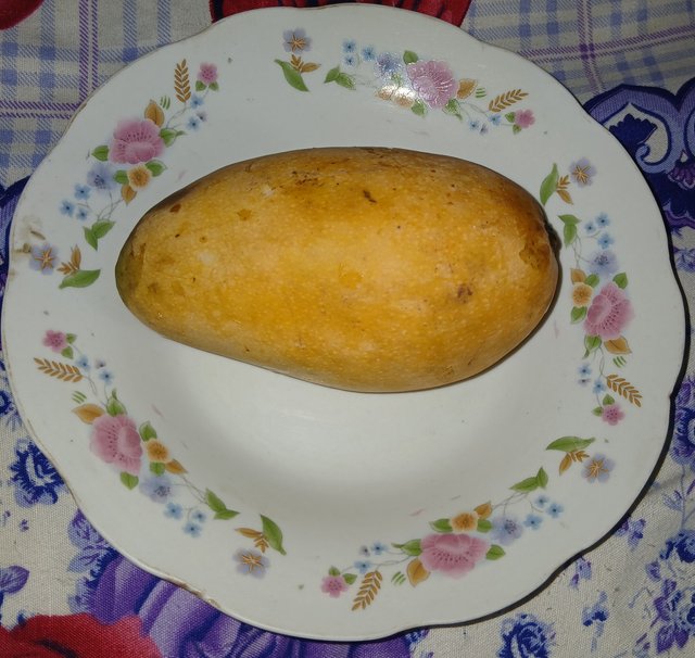 1000073956.jpg