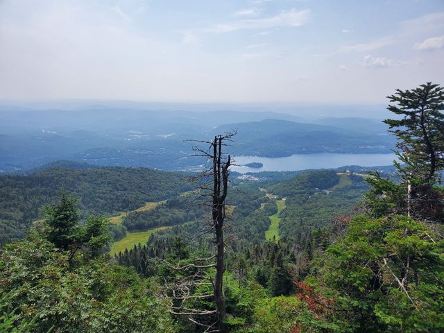 vue de tour plus étendu.jpeg