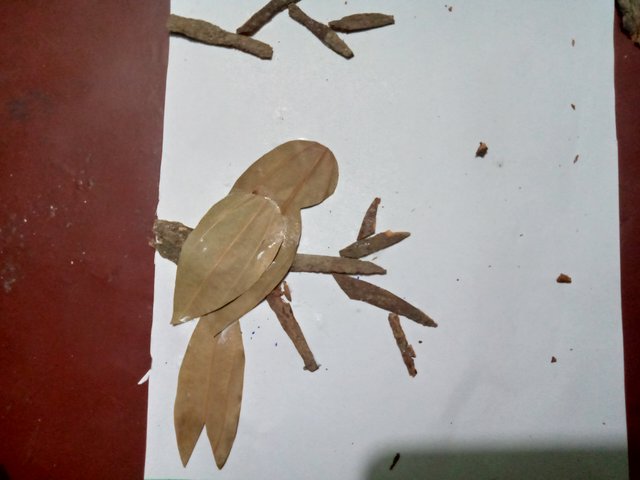 IMG20250814161037.jpg