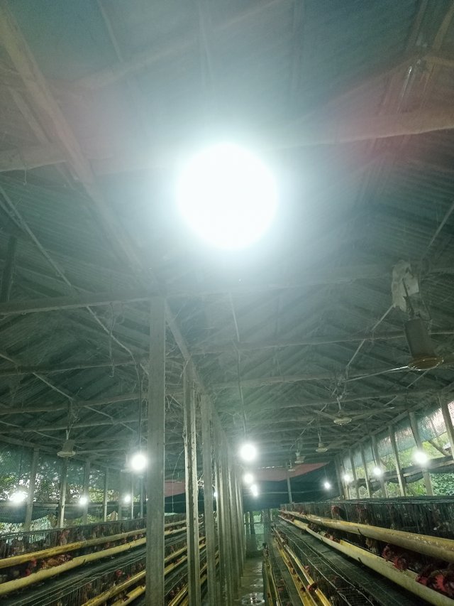 IMG20250506175640.jpg