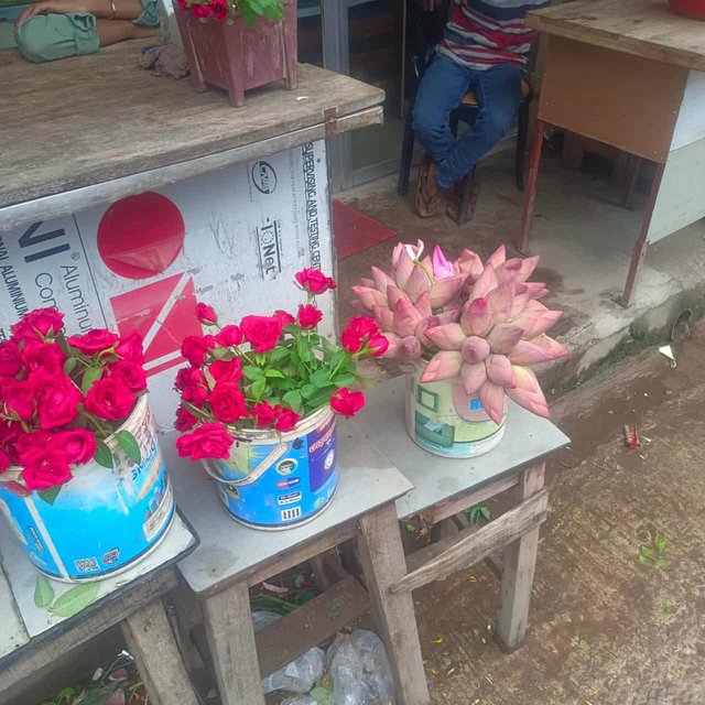 a1ed005c-cc23-4057-bf11-3d2d9ebee394.jpeg