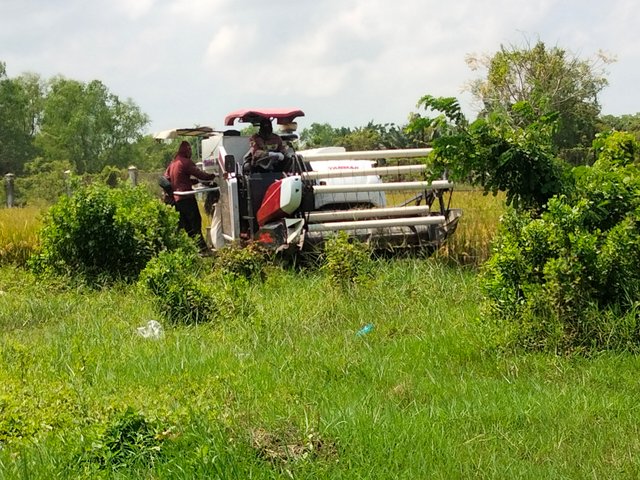 IMG20250210122425.jpg