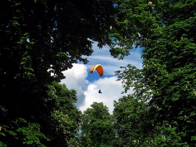 paraglider-1973020_960_720.jpg