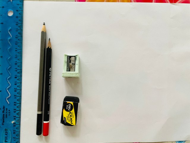 IMG_8872.jpeg