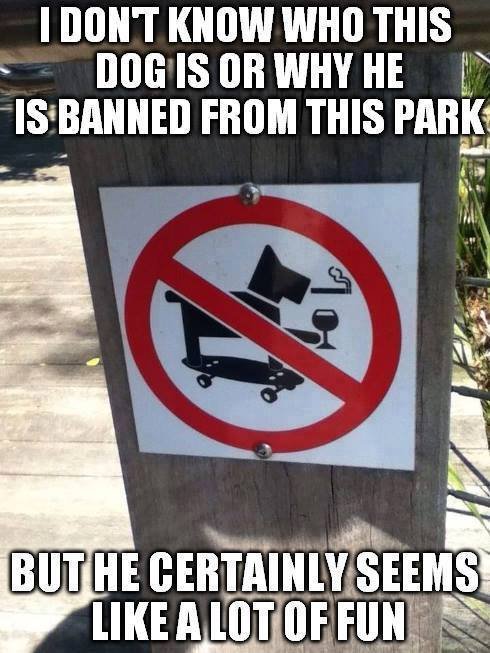 I-Dont-Know-Who-This-Dog-Is-Or-Why-He-Is-Banned-From-This-Park-Funny-Skateboarding-Meme-Image.jpg