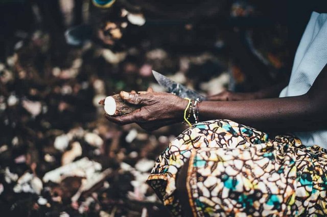 peeling-cassava-1024x681.jpg