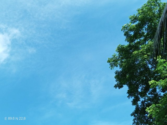 IMG_20250527_084532_557.jpg