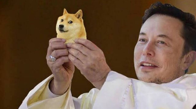 dogecoin-elon-musk-snl-memes.jpg