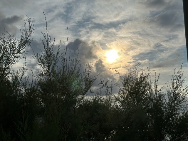 IMG_7940.jpeg