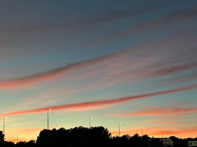 IMG_2550.jpeg