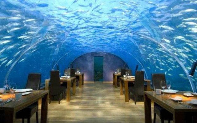 ithaa-undersea-restaurant-647_020116033259.jpg