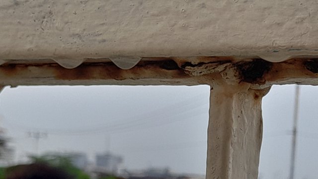 20250816_103847.jpg