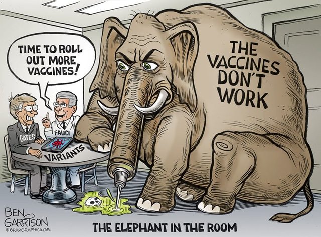 elephant vaccine death.jpg