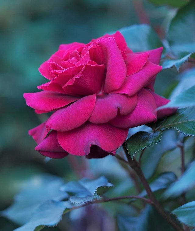 IMG_20250730_210544.jpg