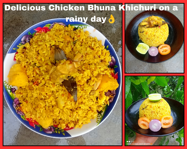 Delicious Chicken Bhuna Khichuri on a rainy day👌_20250529_174306_0000.png