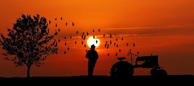 sunset-3812820_1280.jpg