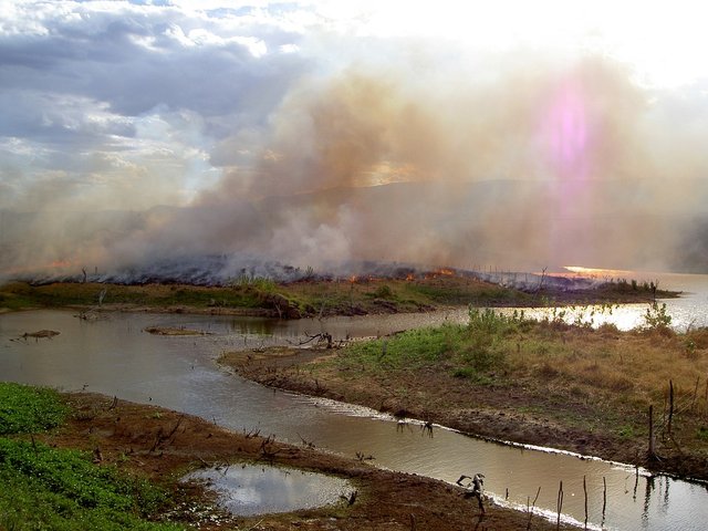 brazil-1665805_960_720.jpg