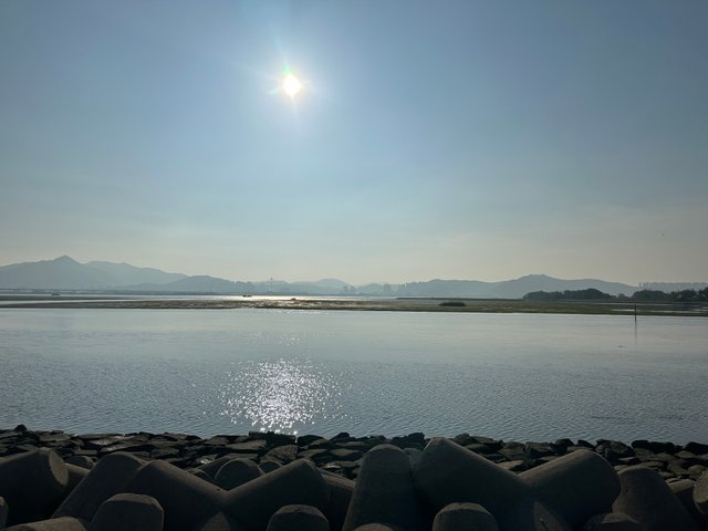 IMG_6166.jpeg