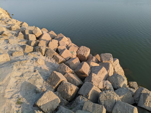 1000016208.jpg