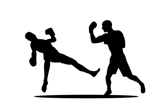 boxing-6091981_1920.png