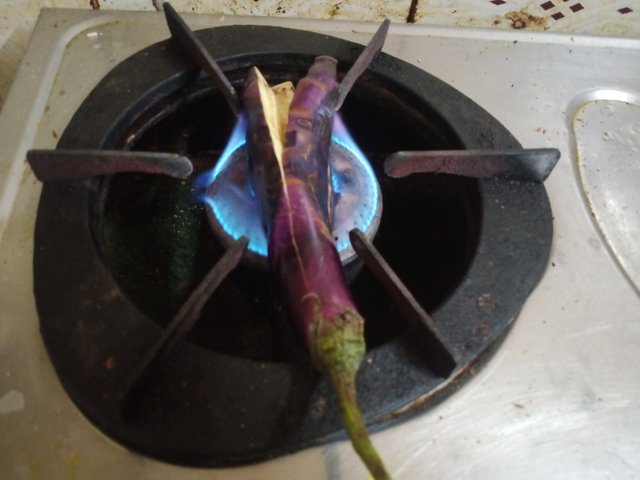IMG20250415185403.jpg
