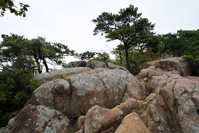 b-DSC02221.JPG