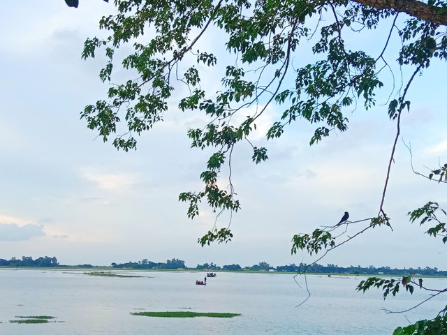 IMG_20250912_215426.jpg