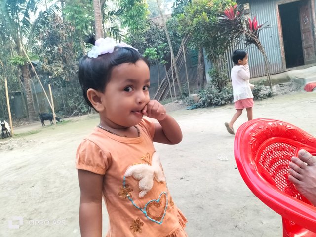 IMG20250328174937.jpg