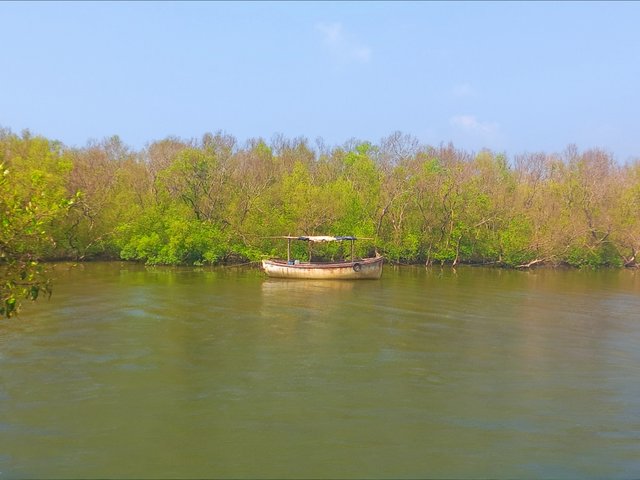 IMG_20251010_180659.jpg