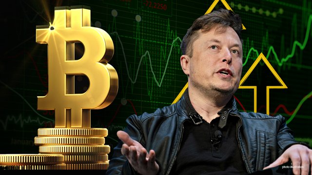 Elon-Musk-Bitcoin.jpg