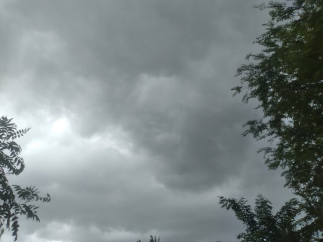 20250607_165741.jpg