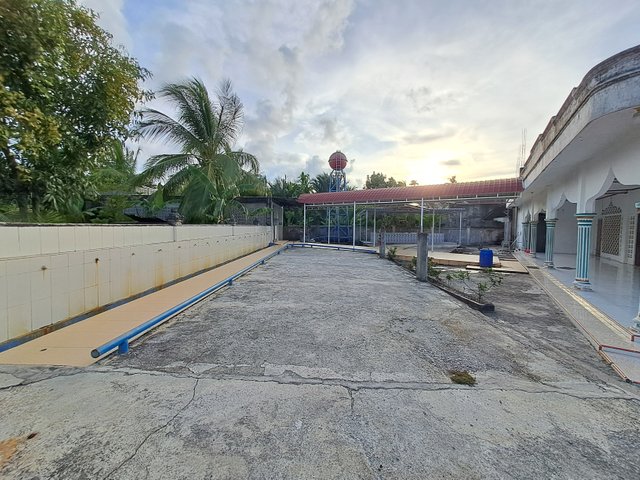 20250419_174751.jpg