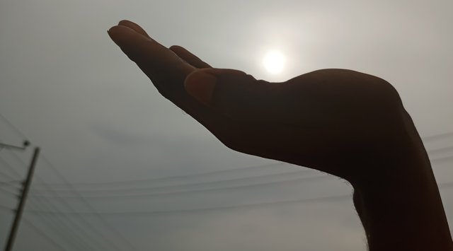 1000642616.jpg