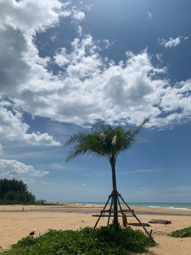 Khao Lak Beach13.jpg