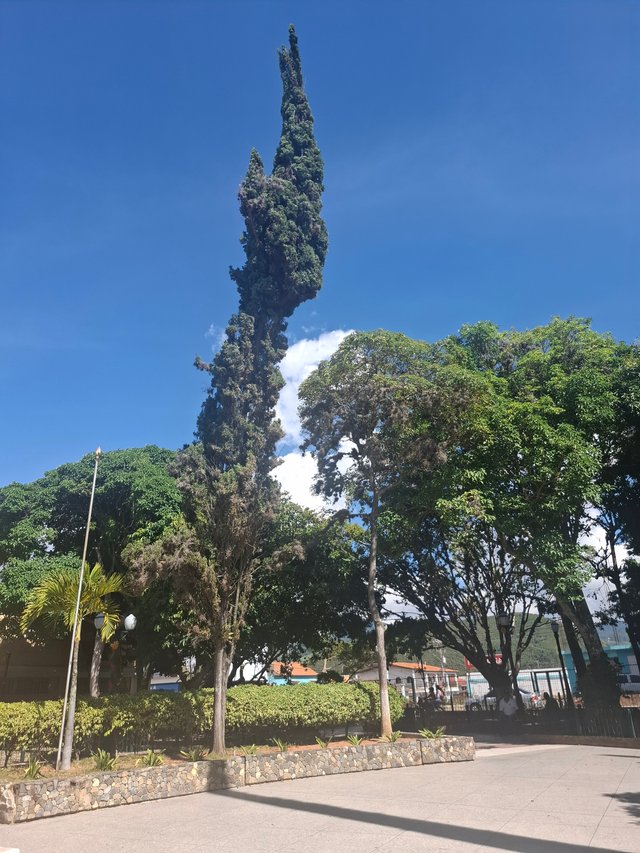1000309173.jpg