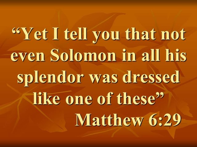 Jesus's providence. Yet I tell you that not even Solomon in all his splendor was dressed like one of these. Matthew 6,29.jpg