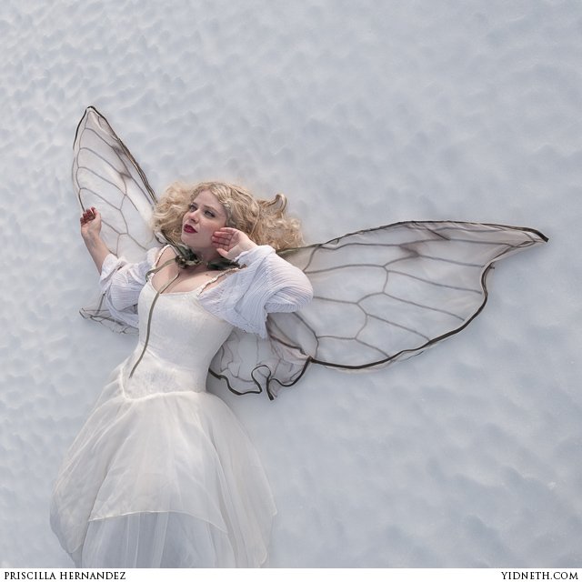 snow fairy winter  - by priscilla Hernandez (yidneth.com)-7.jpg