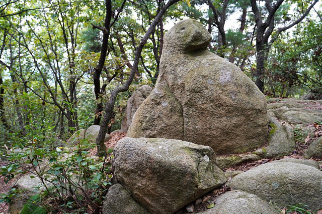 b-DSC02054.JPG