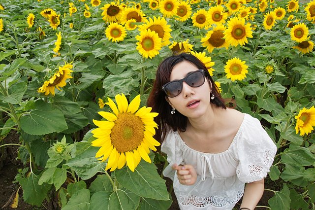 Japan-Hokkaido12802-1119.jpg