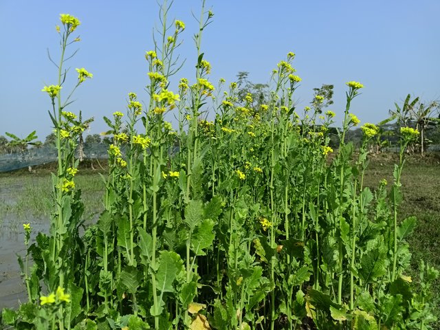 IMG20240109132534.jpg