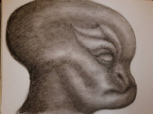20250926_110821.jpg