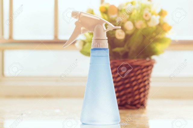 spray bottle.jpg
