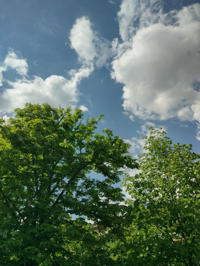 IMG_20250425_144750_HDR.jpg