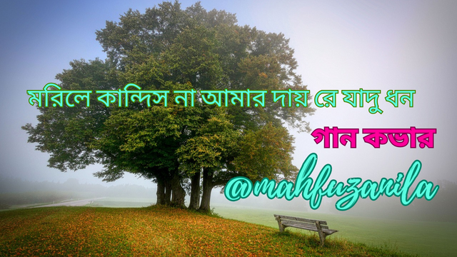 মরিলে কান্দিস না আমার দায় রে যাদু ধন.png