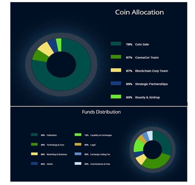 cannacor coin allocation.jpg