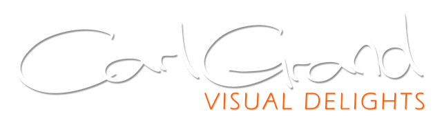 CGVD Logo-new picto-white-orange.png