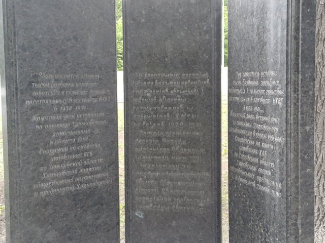 20250517_164710.jpg
