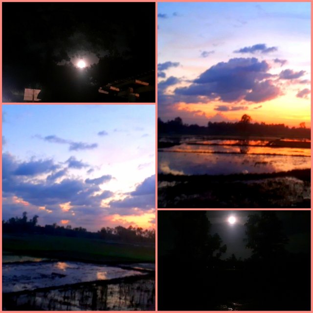 Picsart_22-07-16_22-50-36-566.jpg