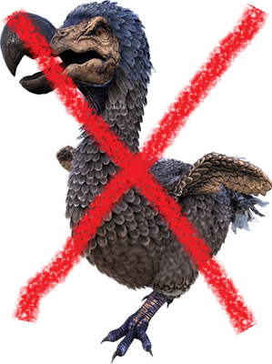 dodo dead.png